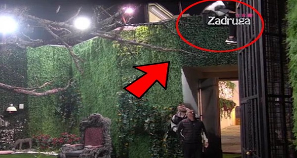 SKANDALOZNO! “DOSTA JE BILO” BEKSTVO IZ ZADRUGE – Učesnici URLALI i MOLILI da siđe sa REŠETAKA (VIDEO)