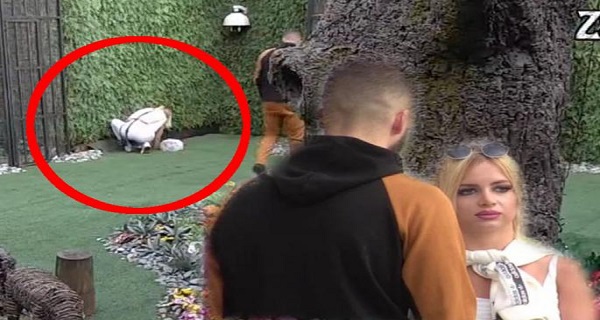 HAOS! JOŠ JEDAN POKUŠAJ BEKSTVA? JURIO JE PO IMANJU: Anja i Cvele URLALI “Slao si K**AC drugoj devojci”