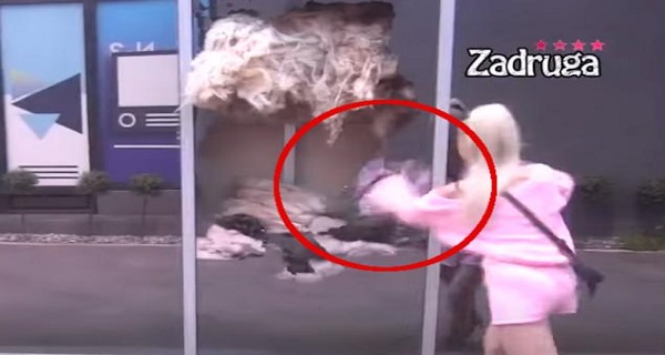 RUKOM KROZ STAKLO! Milica Kemez UNIŠTAVA IMANJE – grca u suzama i LOMI sve što stigne! Bora je UNIŠTIO!