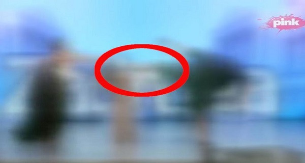 PREKID FILMA – NAPUSTIO EMISIJU! Zola se NOGAMA brani od Miljaninog napada! Slomila mu telefon! (VIDEO)