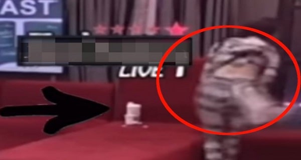 ISPLIVAO SNIMAK BRUTALNE AGRESIJE – ŠUTNUO JE OBEMA NOGAMA, ONA SE SRUŠILA! Ovaj momenat je svima promakao