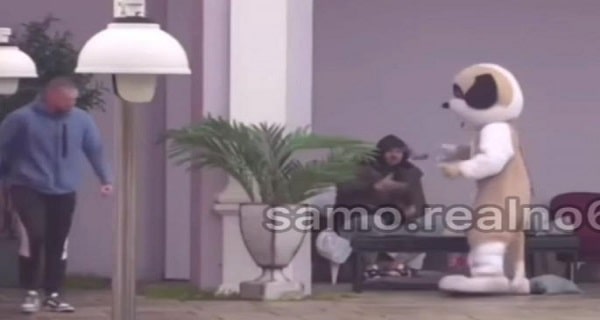 Evo šta je prethodilo MONSTRUOZNOM NAPADU na Stanića – Rajačić IZGOREO od besa: Čeka se reakcija PRODUKCIJE