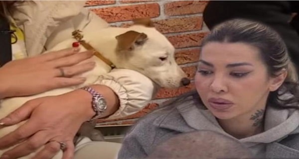 Pas Vesna IZVRŠILA NUŽDU po Aneli, ona izgorela od besa – zadrugarkina REAKCIJA zgrozila sve (VIDEO)