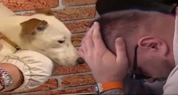 Janjušev PAS Vesna UNIŠTILA SKUPU opremu televizije Pink koja je ključna za rijaliti – ko će to da plati?