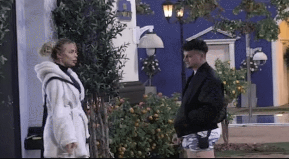 Prekinuta romantika Terze i Sofije: Zadrugar brutalno zaurlao “Ljubakate se dok trudna žena plače kod kuće”