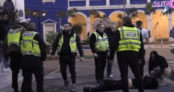 Terza doživeo NERVNI SLOM: Valjao se kao ranjena zver, bolni urlici odzvanjali na imanju – ne može da stoji na nogama, obezbeđenje ga HITNO iznelo iz kuće