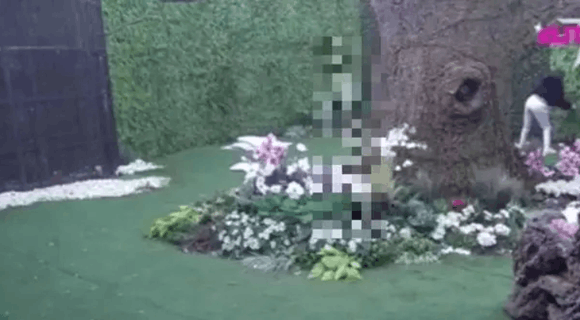 Donela je naglu i neočekivanu odluku: Upravo sada beži iz rijalitija “Elita 9”