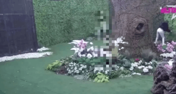 Donela je naglu i neočekivanu odluku: Upravo sada beži iz rijalitija “Elita 9”