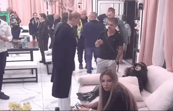 Šta se to desilo tokom reklama između Karića i Cara? Obezbeđenje intervenisalo tokom njihove svađe
