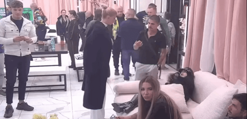 Šta se to desilo tokom reklama između Karića i Cara? Obezbeđenje intervenisalo tokom njihove svađe